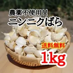 送料無料!! 2026年産 無農薬 バラニンニク 1kg ニンニク 1キロ — image 1