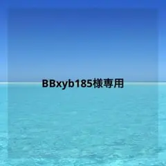 BBxyb185様専用ページ — image 1