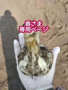 香さま専用ページ — image 1