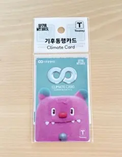 気候同行カード　韓国　T-money ソウル　乗り放題　レアデザイン — image 1