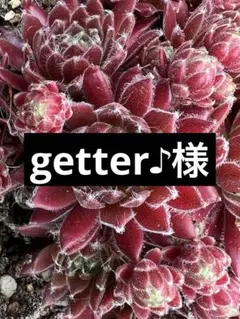 getter♪様おまとめ — image 1