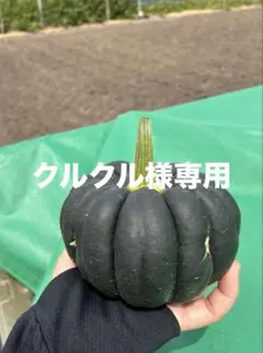 クルクル様専用 — image 1