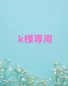 k様専用 — image 1