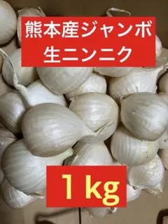 ジャンボニンニク　ニンニク　野菜　香味野菜　農薬不使用　農家直送 — image 1