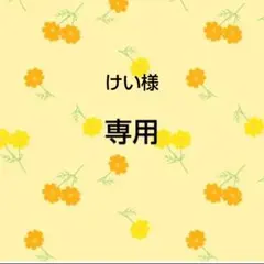 けい様専用 — image 1