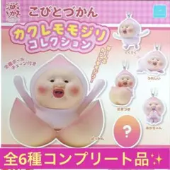 【シークレットあり・全6種コンプリート品】こびとづかんカクレモモジリコレクション — image 1