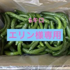 エリン様専用 — image 1