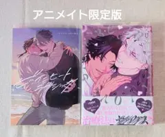 【アニメイト限定版】 ビーインヒートラブシック　U — image 1