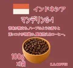 自家焙煎 『マンデリンG-1』珈琲豆 (100g×3) — image 1