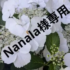 Nanala様専用5300 — image 1