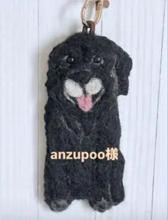 anzupoo様 — image 1