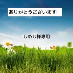 専用 — image 1