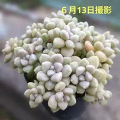 ＊miokoca75＊様 リクエスト 3点 まとめ商品 — image 1