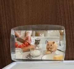 まちあわせの丘ハムスターラミネートレー — image 1