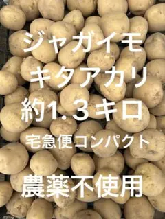 新ジャガイモ、キタアカリ、宅急便コンパクトボックス — image 1