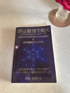 夢は感情で動く 新明マキ著 — image 1