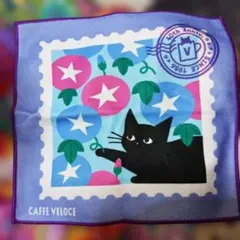 ベローチェサマーキャンペーン — image 1