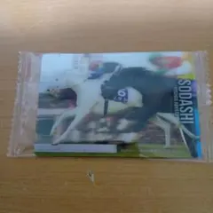 ソダシ 阪神ジュベナイルフィリーズ 記念カード サラブレッド 競馬 — image 1