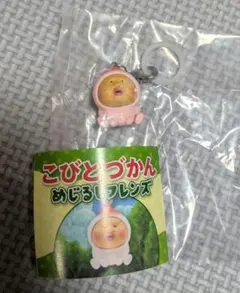 こびとづかん めじるしフレンズ カクレモモジリ　ガチャ　めじるし — image 1