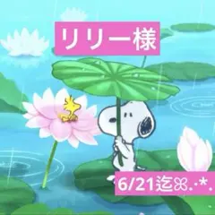 リリー様 専用ページ — image 1