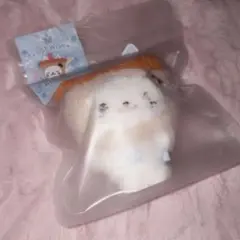 nctwish nct wish ユウシ ぬいぐるみ バブルニャン pocket — image 1