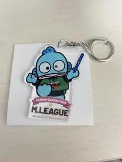 ハンギョドン EARTH JETS アースジェッツ アクリルキーホルダー — image 1