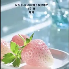 みや【いいねは購入検討中です】様専用(同捆発送) — image 1