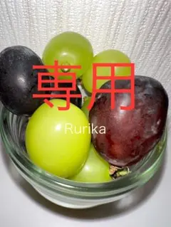 たけのしん様専用 — image 1