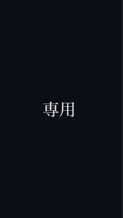 専用 — image 1