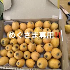 めぐさま専用です‼️ — image 1