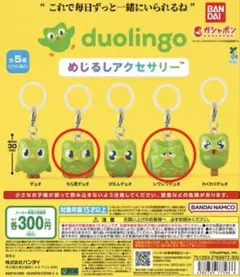 Duolingo めじるしアクセサリー — image 1