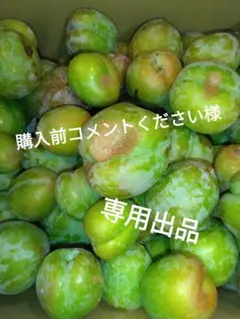 購入前コメントください様　専用出品です。 — image 1