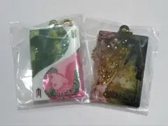 【新品未開封】WICKED＊ガチャガチャチャーム — image 1