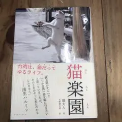 猫楽園 — image 1