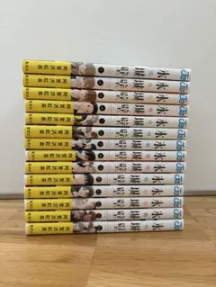 氷の城壁　全巻セット(1巻〜14巻) 阿賀沢紅茶 — image 1