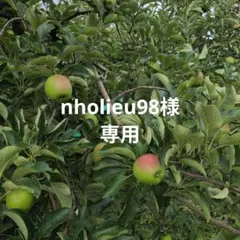 nholieu98様専用 — image 1