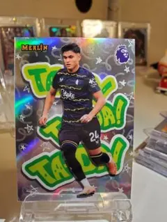 Charly Alcaraz — image 1