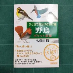 ひと目で見分ける287種 野鳥ポケット図鑑 — image 1