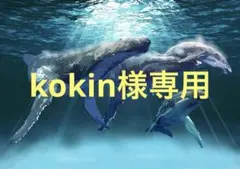 kokin様専用 — image 1