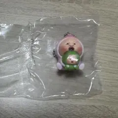 こびとづかん カクレモモジリ コレクション シークレット — image 1