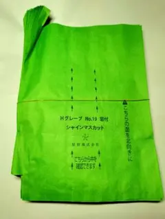 ブドウ　果実袋　緑系ブドウ用 — image 1