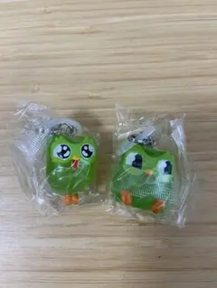 Duolingo めじるしアクセサリー2種セット — image 1