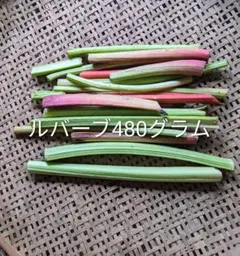 農薬不使用ルバーブ480g現品ネコポス発送 — image 1
