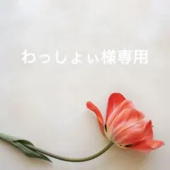 わっしょぃ様★嵐×１点 — image 1