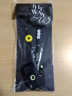 【最安値より千円安い】チェジョンヒョプ　トイビームカメラ　ソウル　ファンミ — image 1