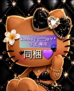 komis♪(*^^)o∀*さま 専用 — image 1