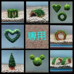 専用出品☆ — image 1