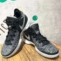 【交渉OK】NIKE LBJ スニーカー ナイキ ズーム レブロン — image 1