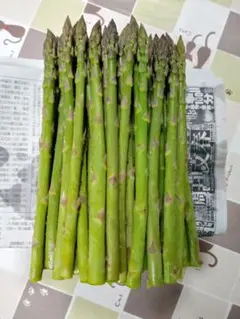 長野県信州産アスパラガス 500ｇ — image 1