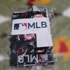MLB New York Yankees ボクサーパンツ Lサイズ — image 1